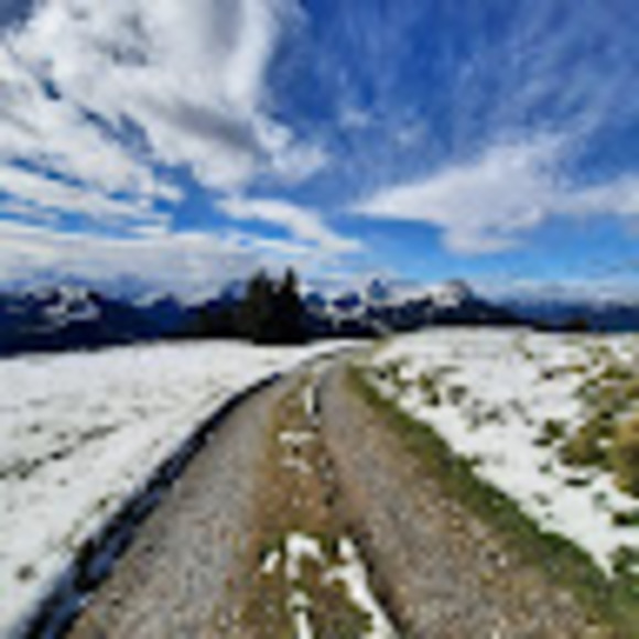 Meet your Posher, Charlotte - Picture 1 of 1